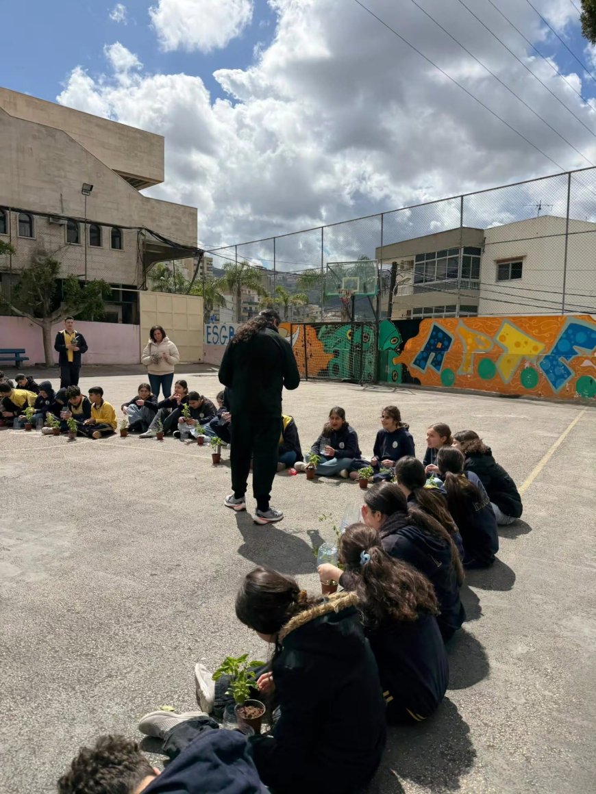 Notre premier mur végétal à l’école!